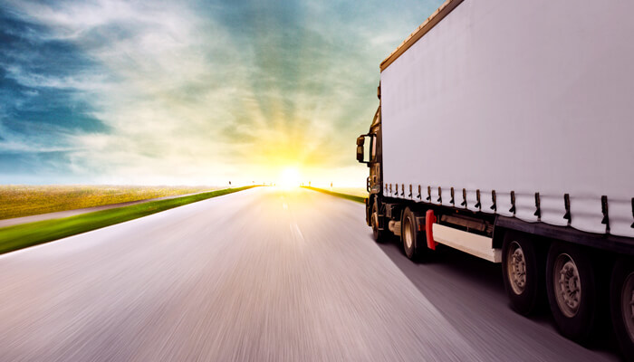 Michale Warehouse Transportaion